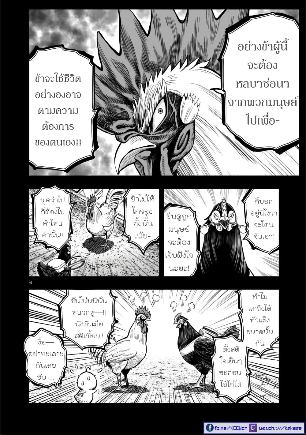 Rooster Fighter 12 (6)